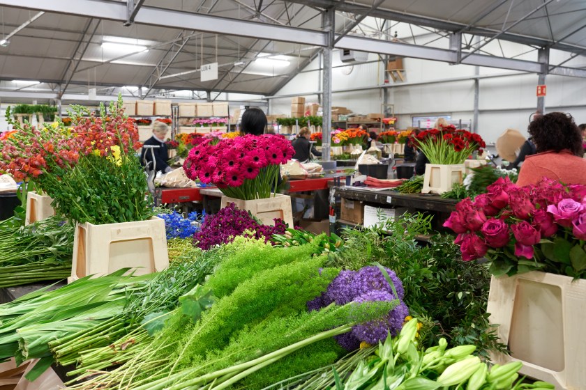 Floristikgeschäft Grünhaus innen mit Blick auf verschiedenste Blumen und Beiwerk